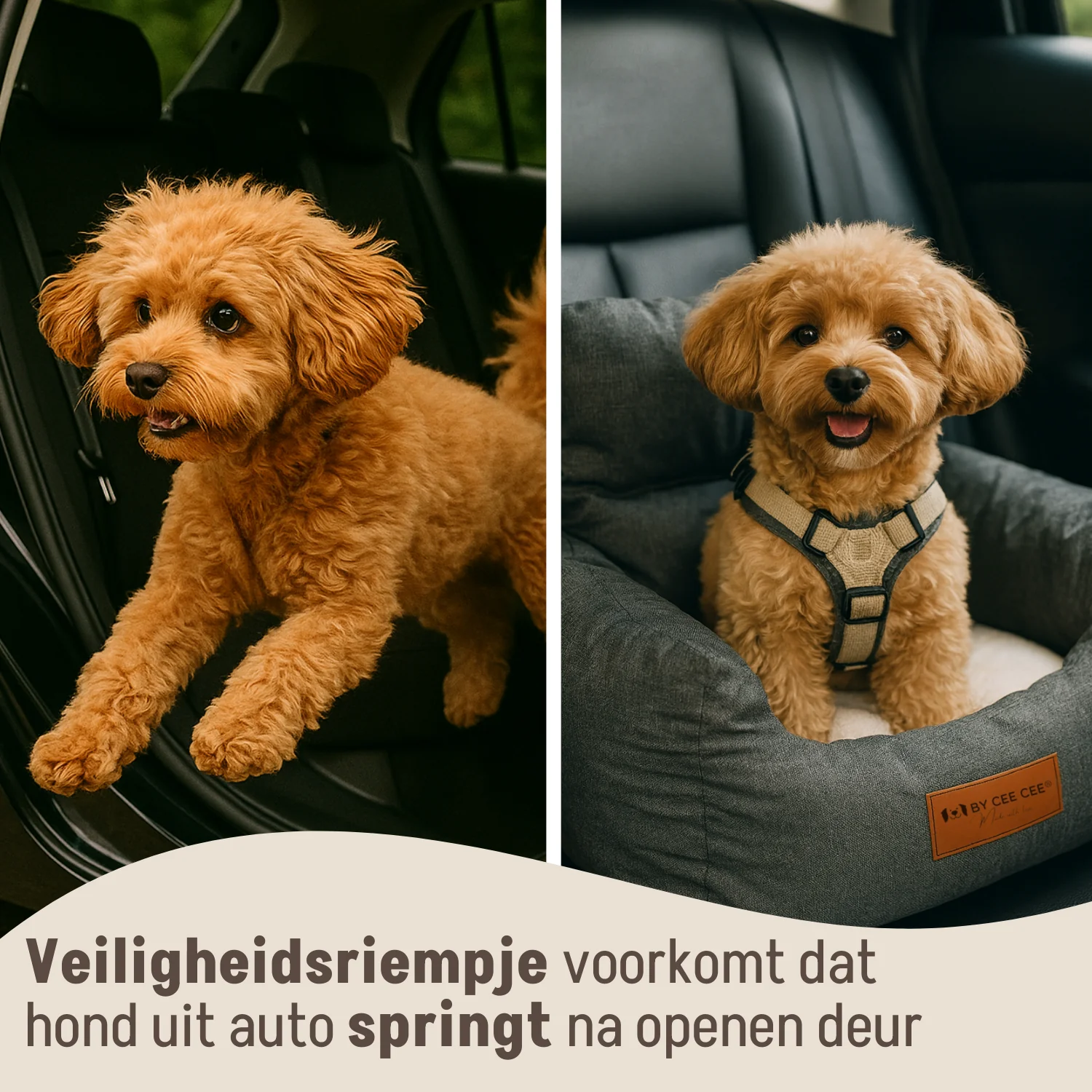 Productafbeelding 11