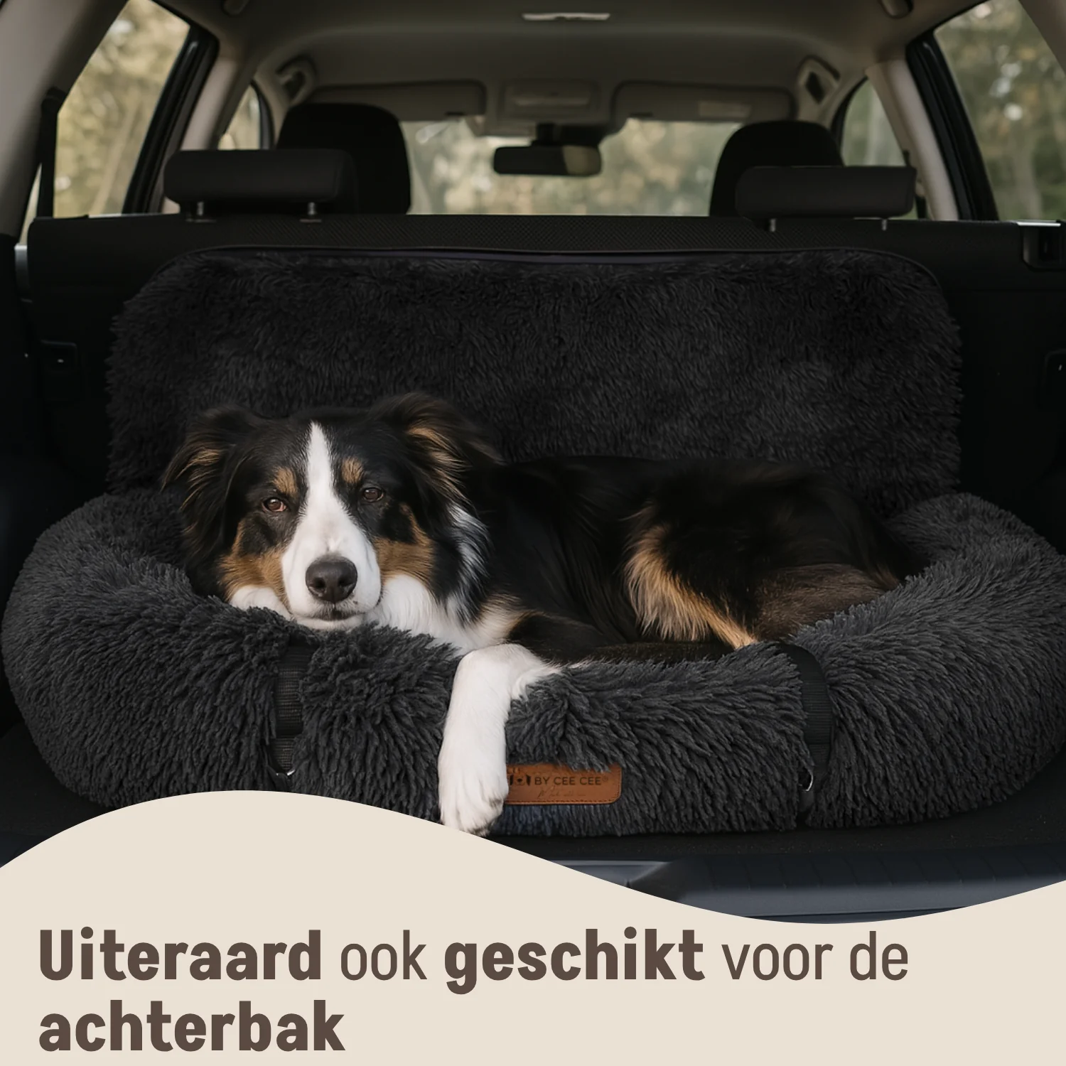 Productafbeelding 41