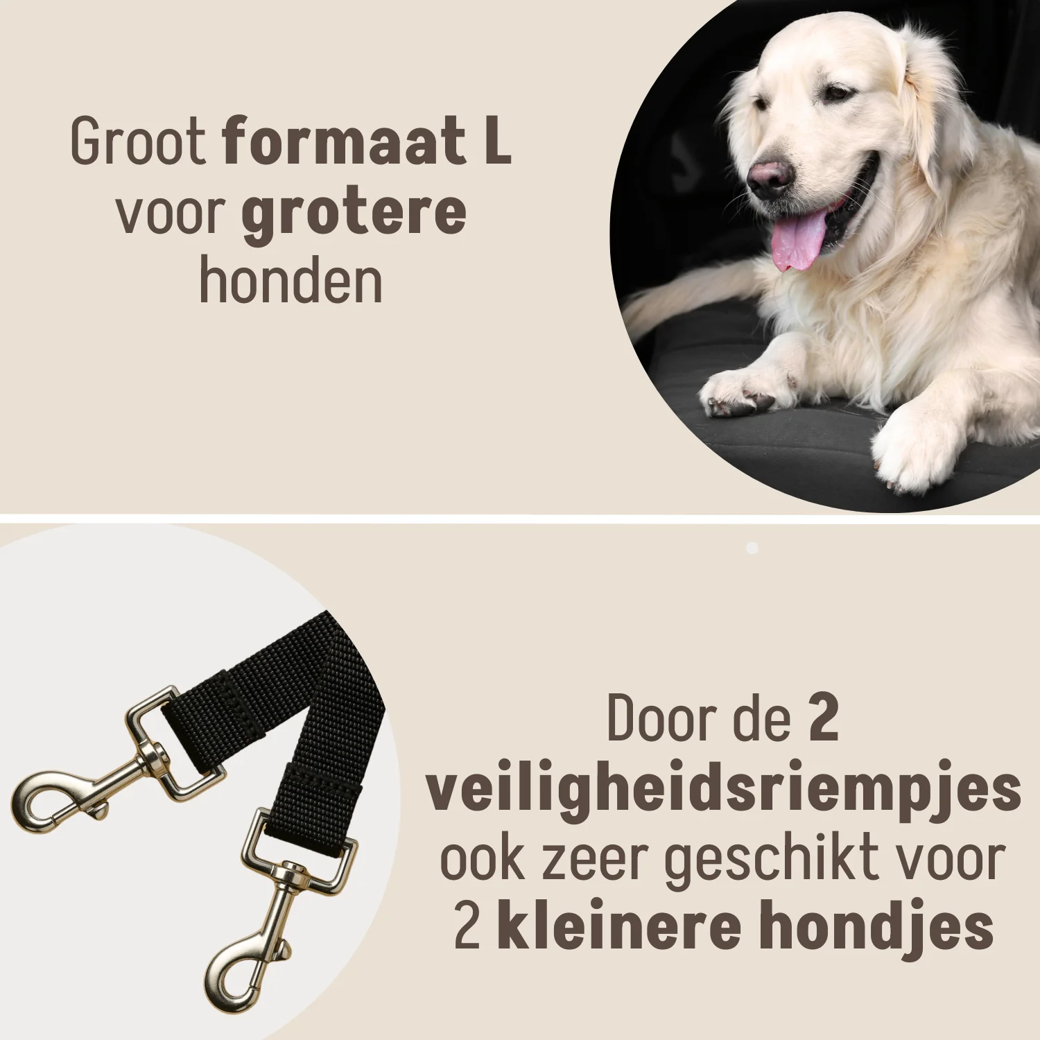Productafbeelding 60
