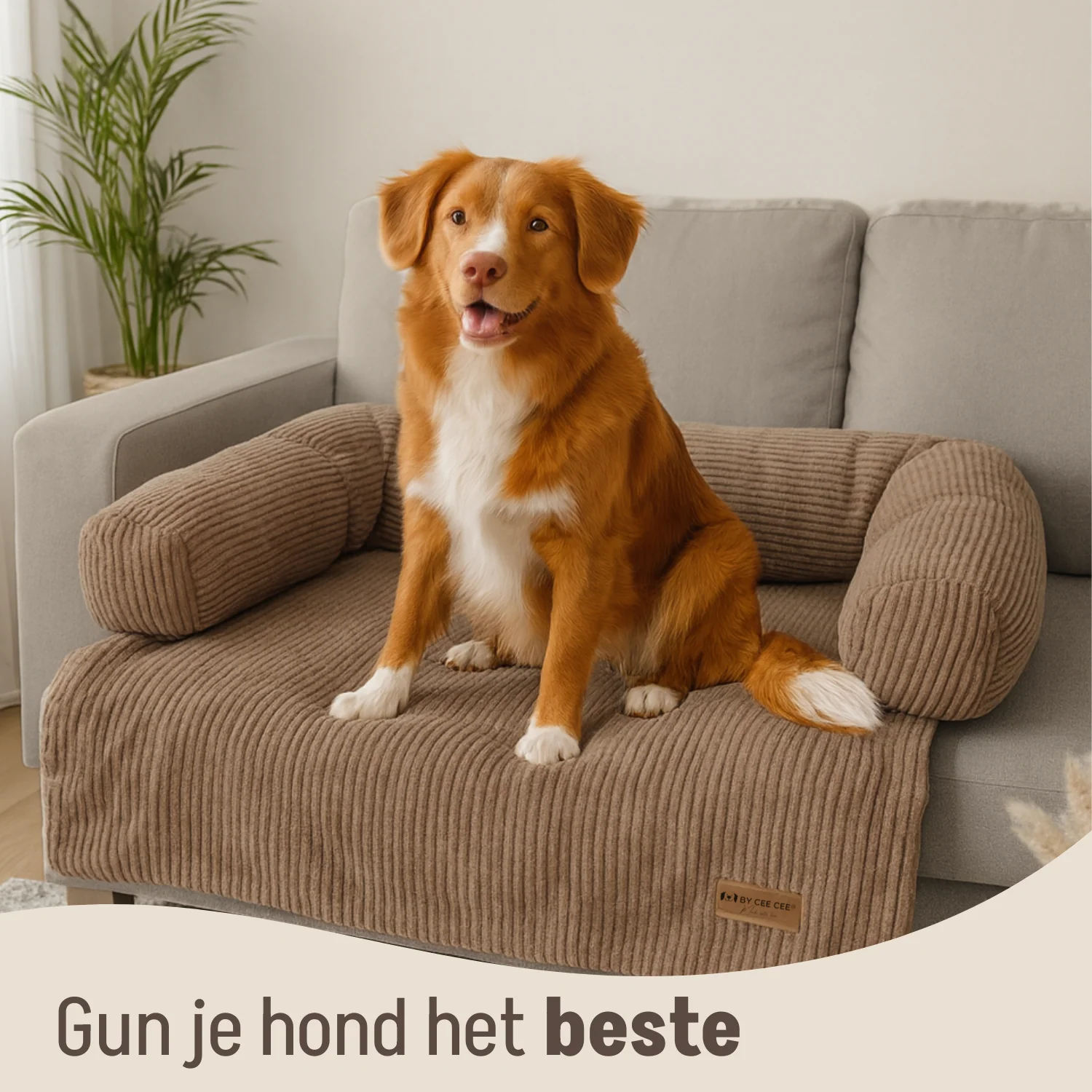 Productafbeelding 94