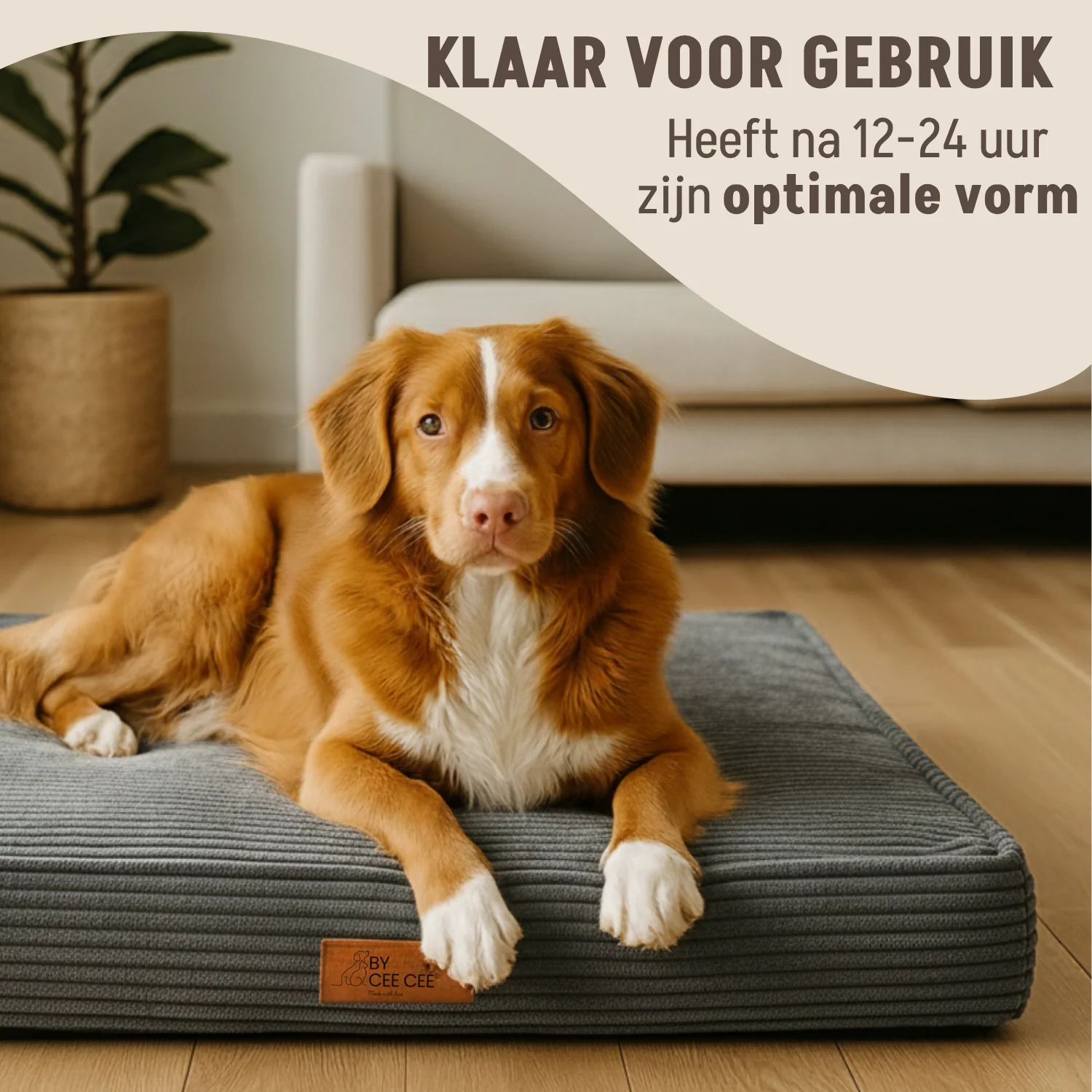 Productafbeelding 20