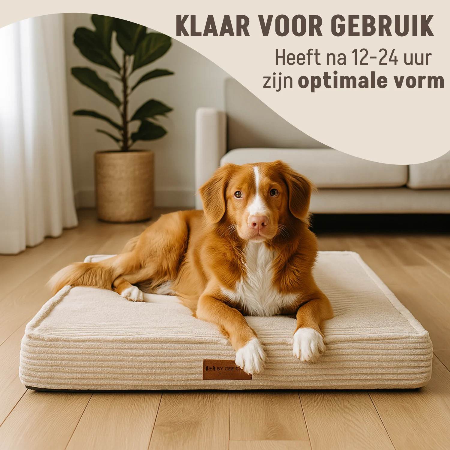 Productafbeelding 6