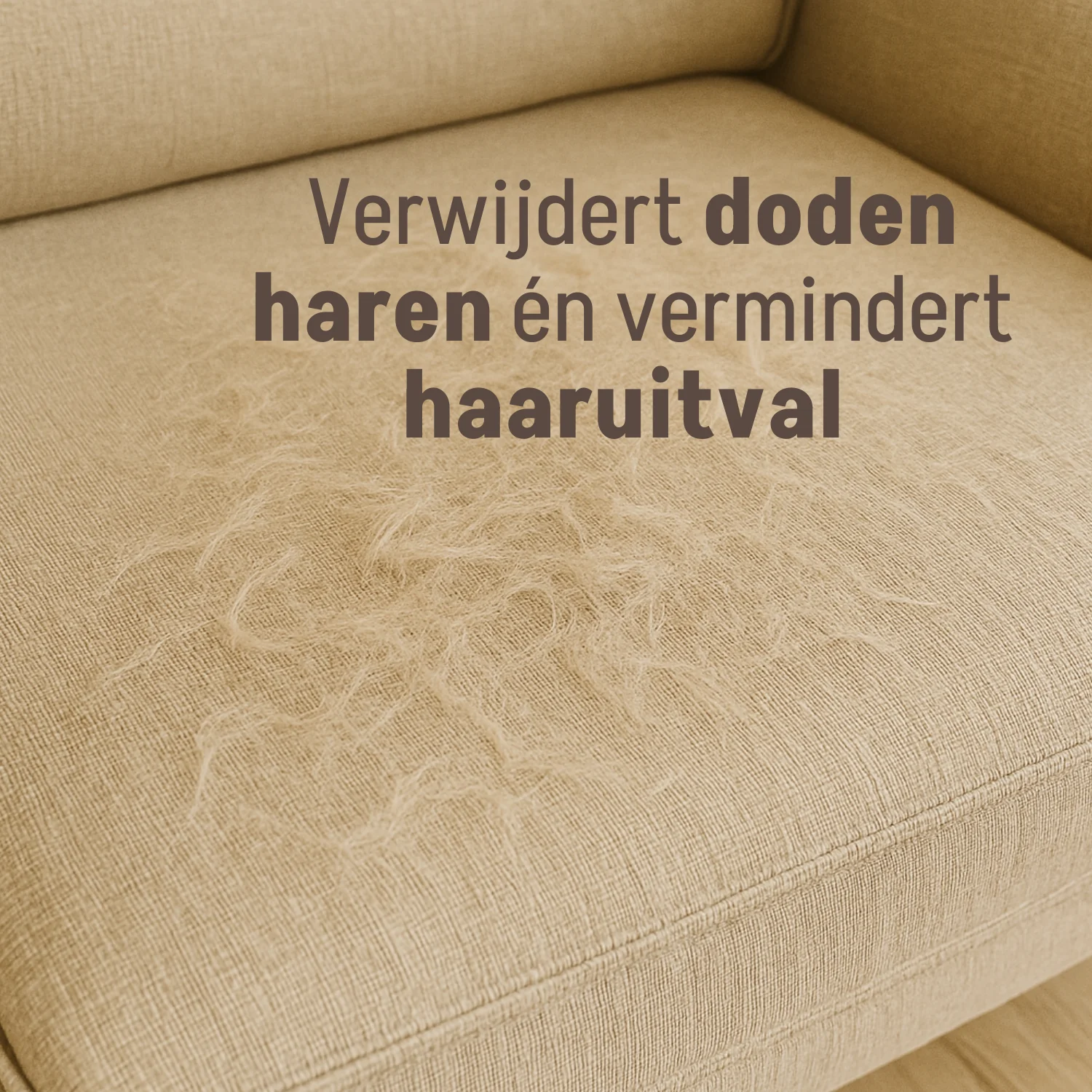 Productafbeelding 19