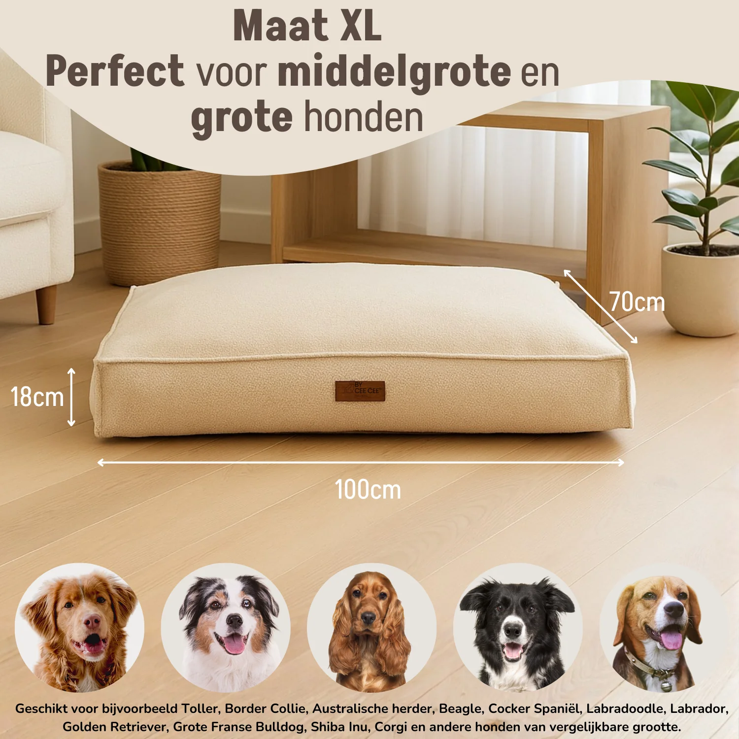 Productafbeelding 5