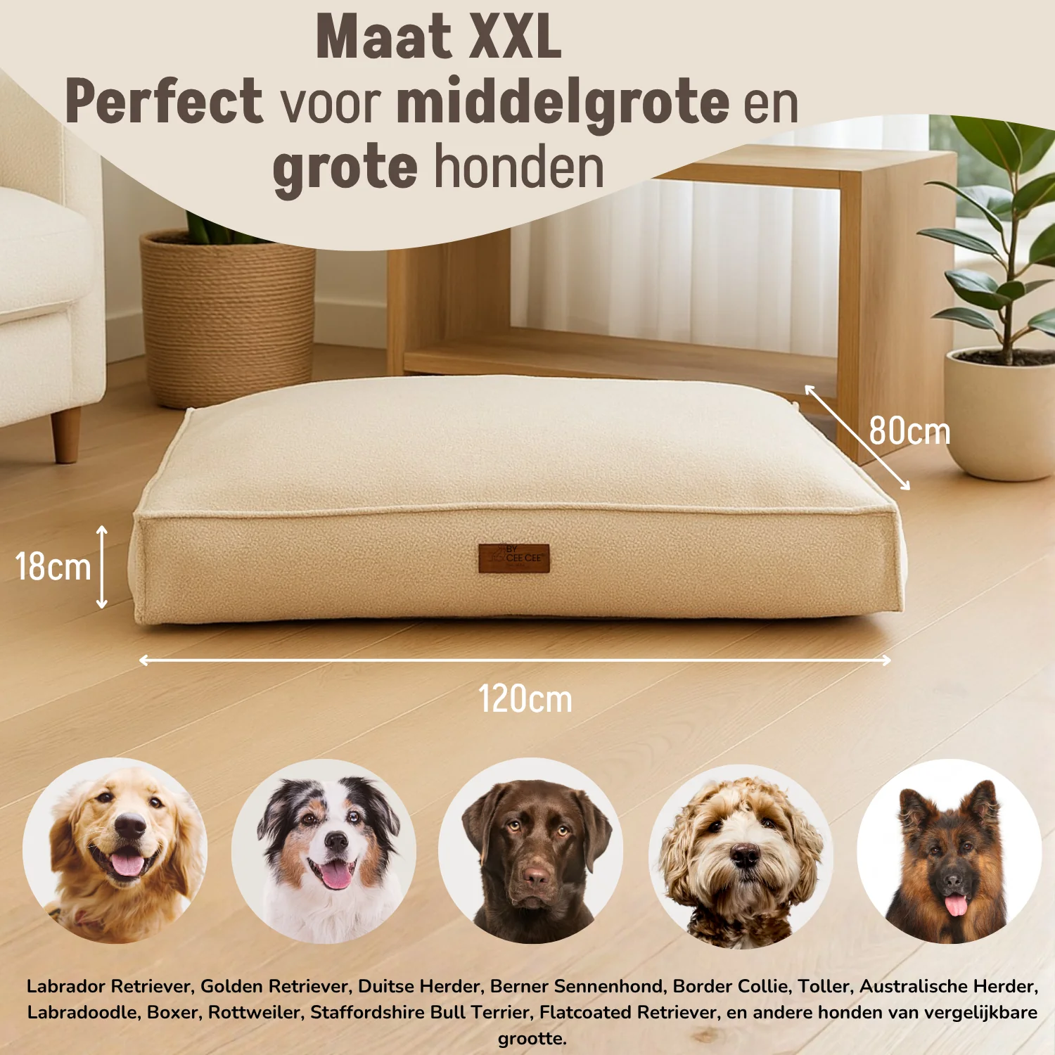 Productafbeelding 24