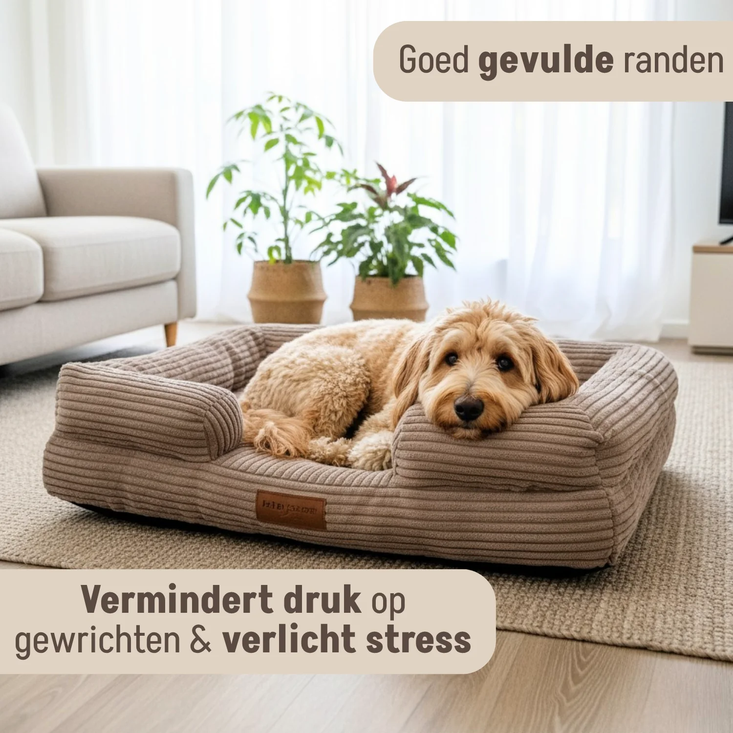 Productafbeelding 40